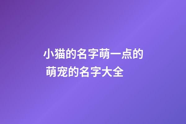 小猫的名字萌一点的 萌宠的名字大全